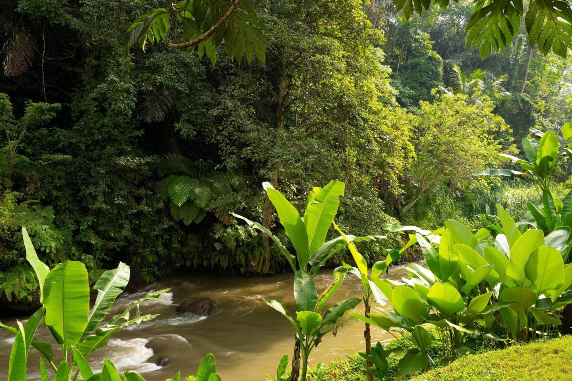 Mandapa, A Ritz-carlton Reserve 5* Ubud